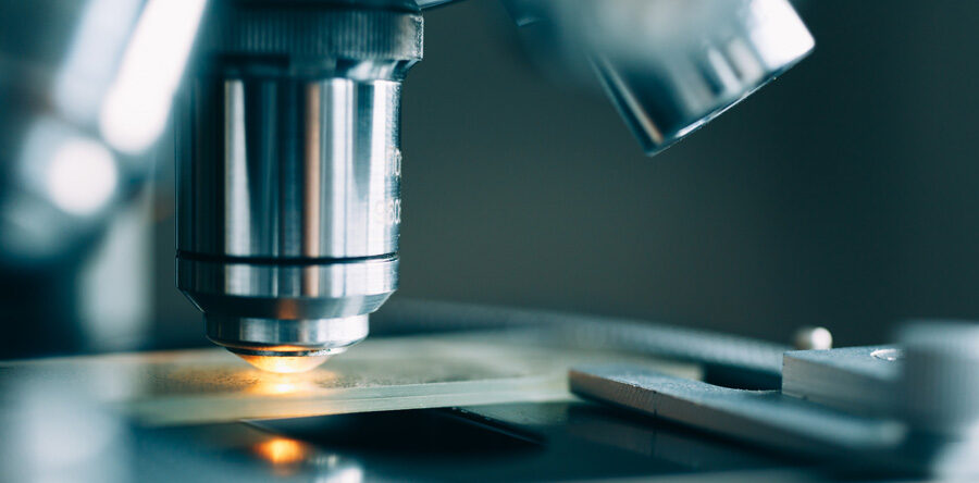 Małpka zabija dyskretnie